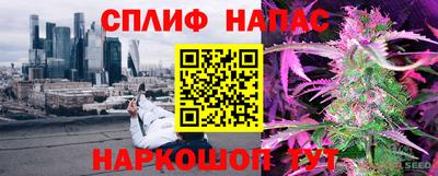 шишки Бузулук