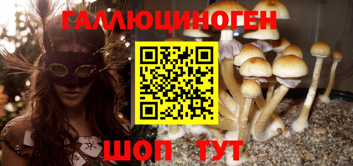 Галлюциногенные грибы Magic Shrooms  Псилоцибиновые грибы Cubensis  Орск  Вход с VPN 